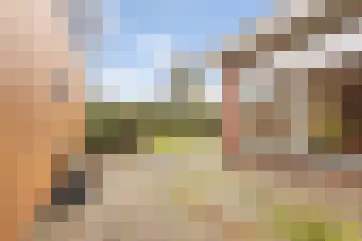 Marsweg 17 Didam thumbnail 22