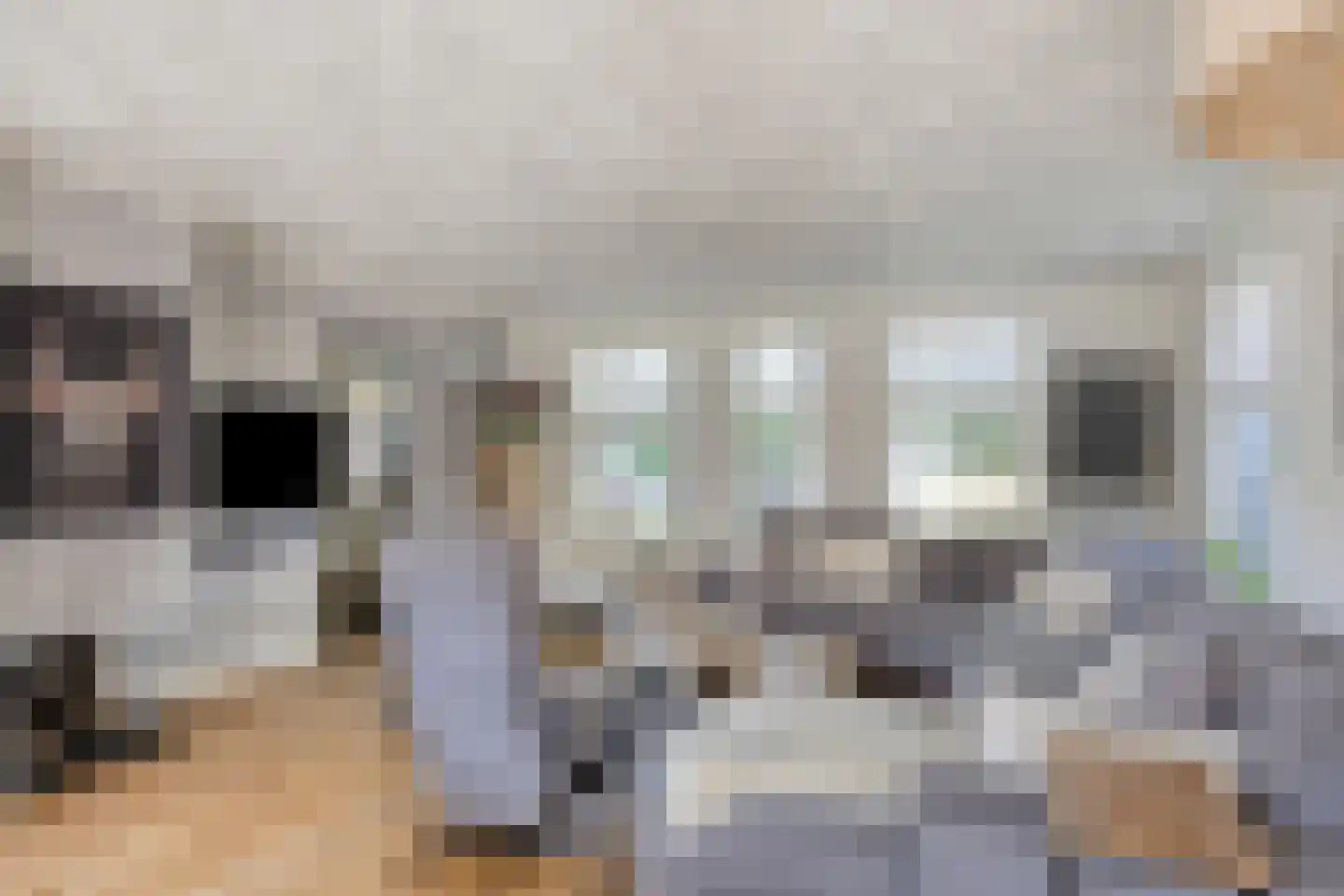Marsweg 19 Oss thumbnail 11