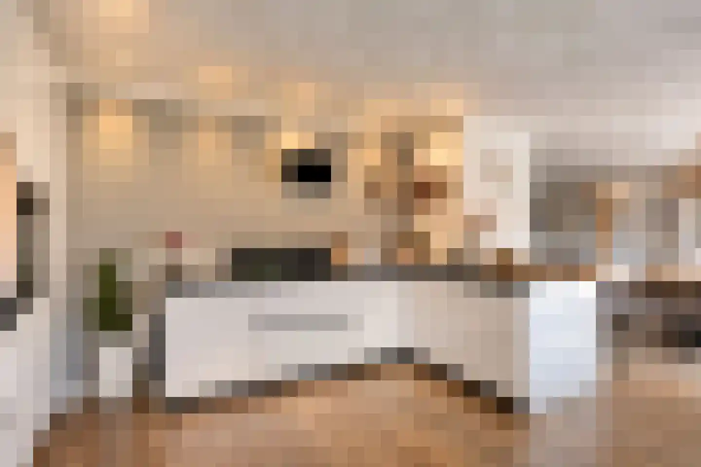 Marsweg 19 Oss thumbnail 16