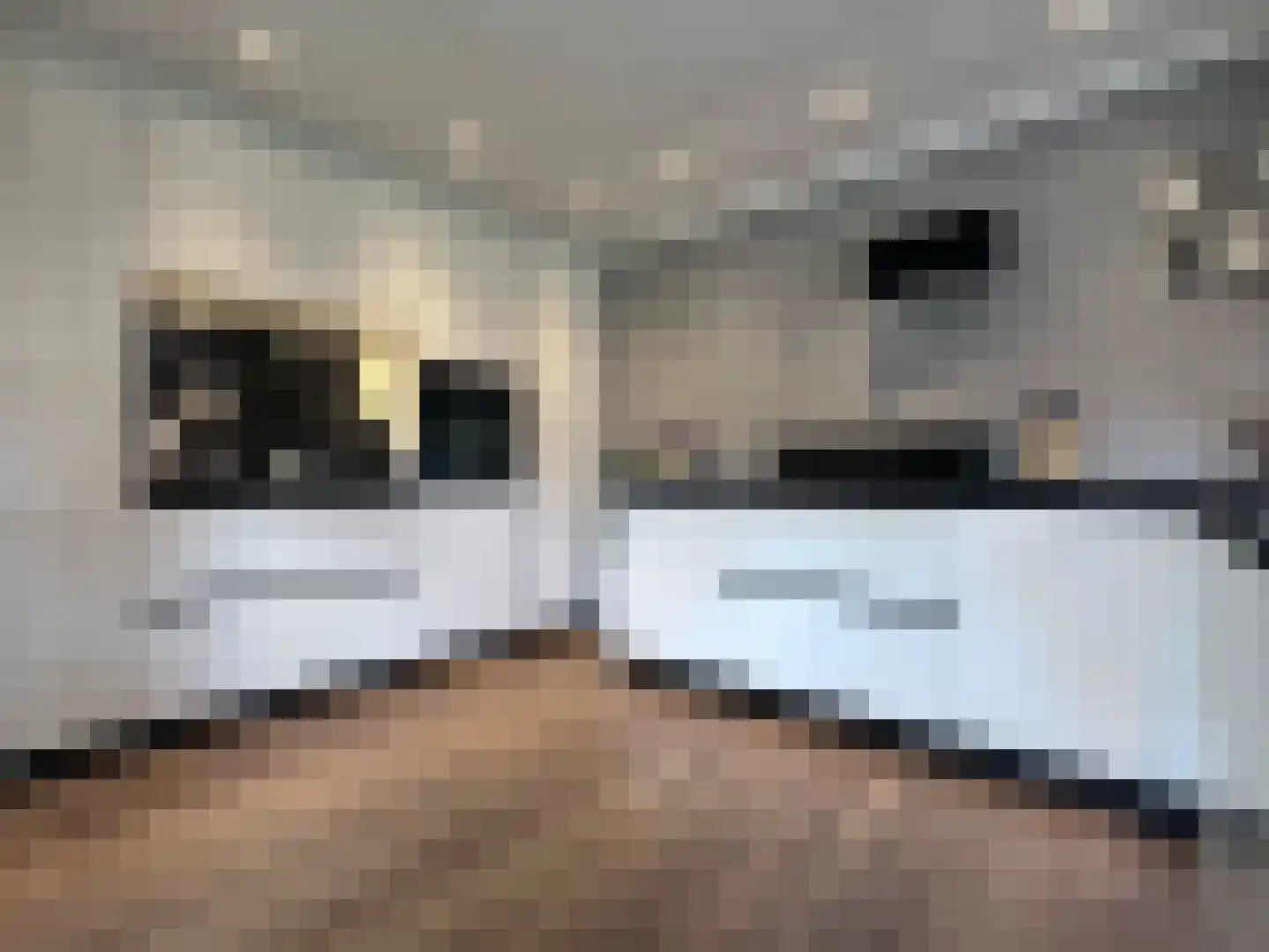 Marsweg 19 Oss thumbnail 17