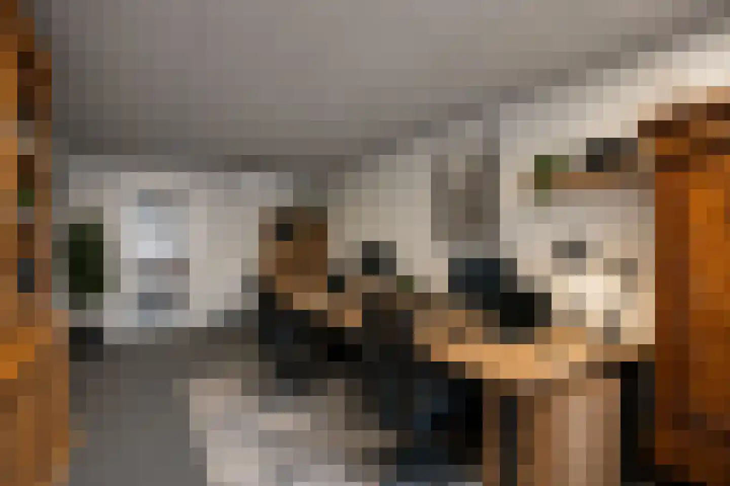 Marsweg 19 Oss thumbnail 20