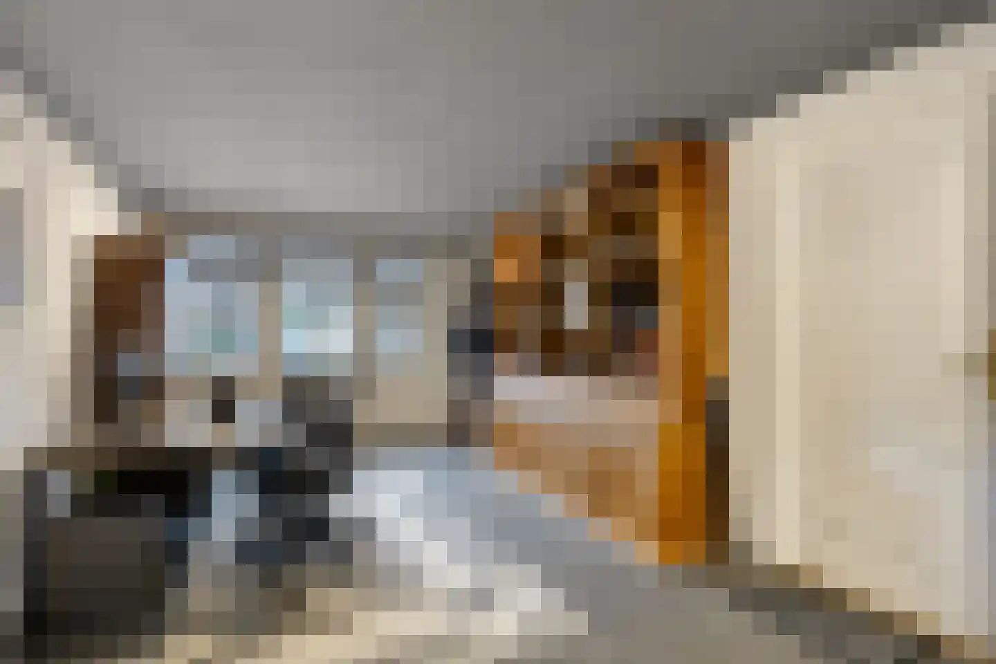 Marsweg 19 Oss thumbnail 21