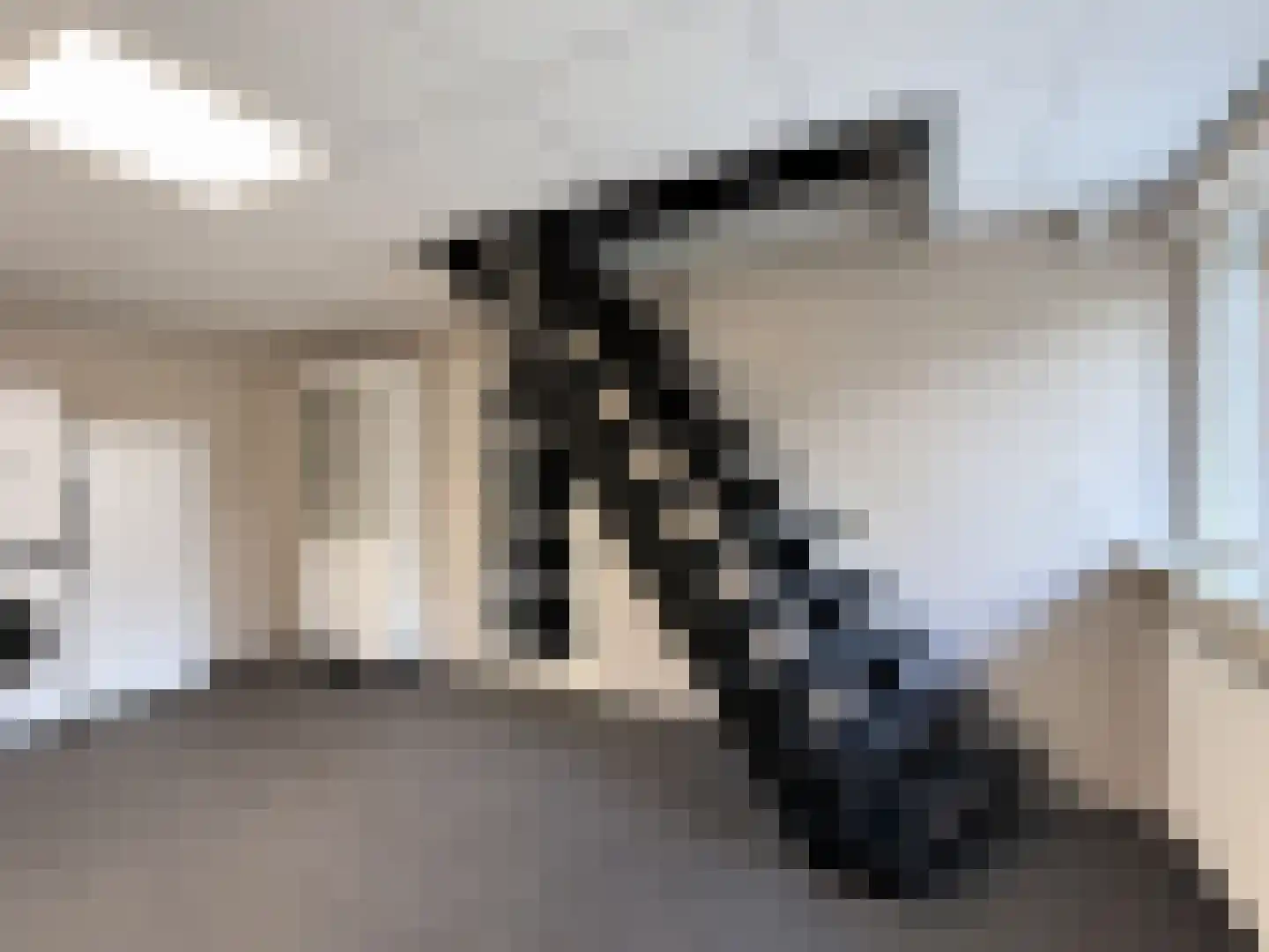 Marsweg 19 Oss thumbnail 22