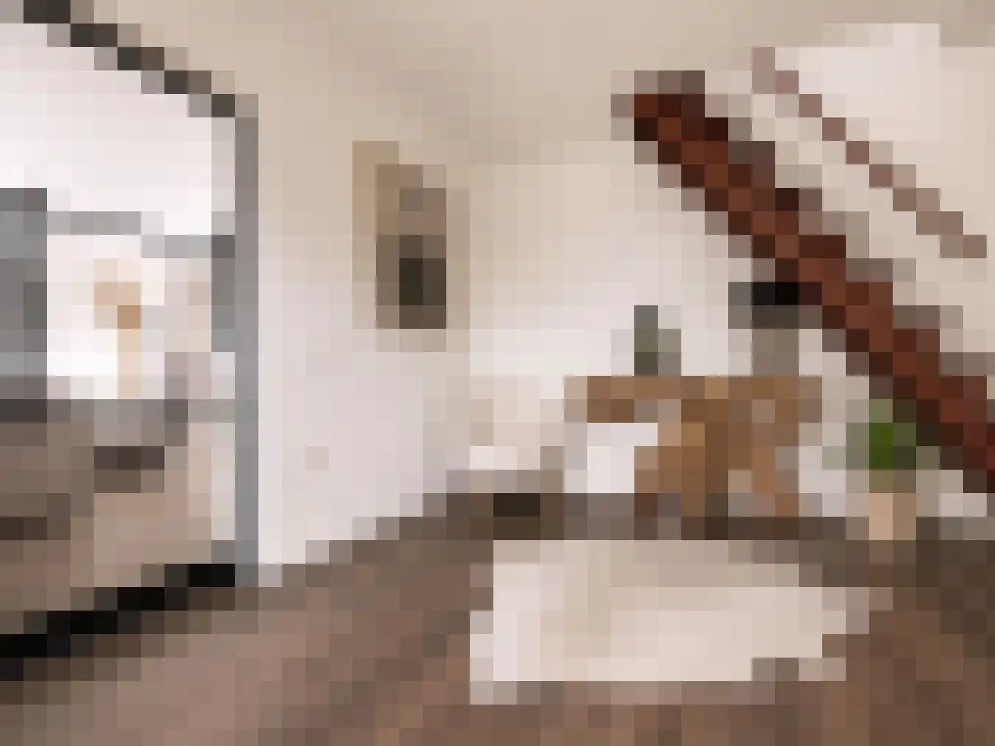 Marsweg 19 Oss thumbnail 24