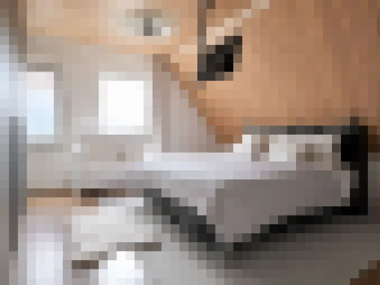Marsweg 19 Oss thumbnail 25