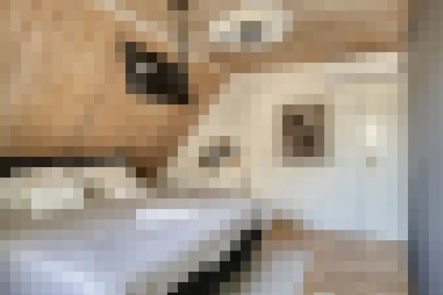 Marsweg 19 Oss thumbnail 26