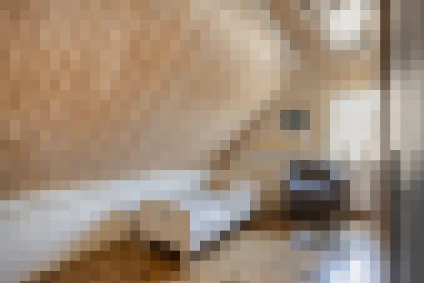 Marsweg 19 Oss thumbnail 29
