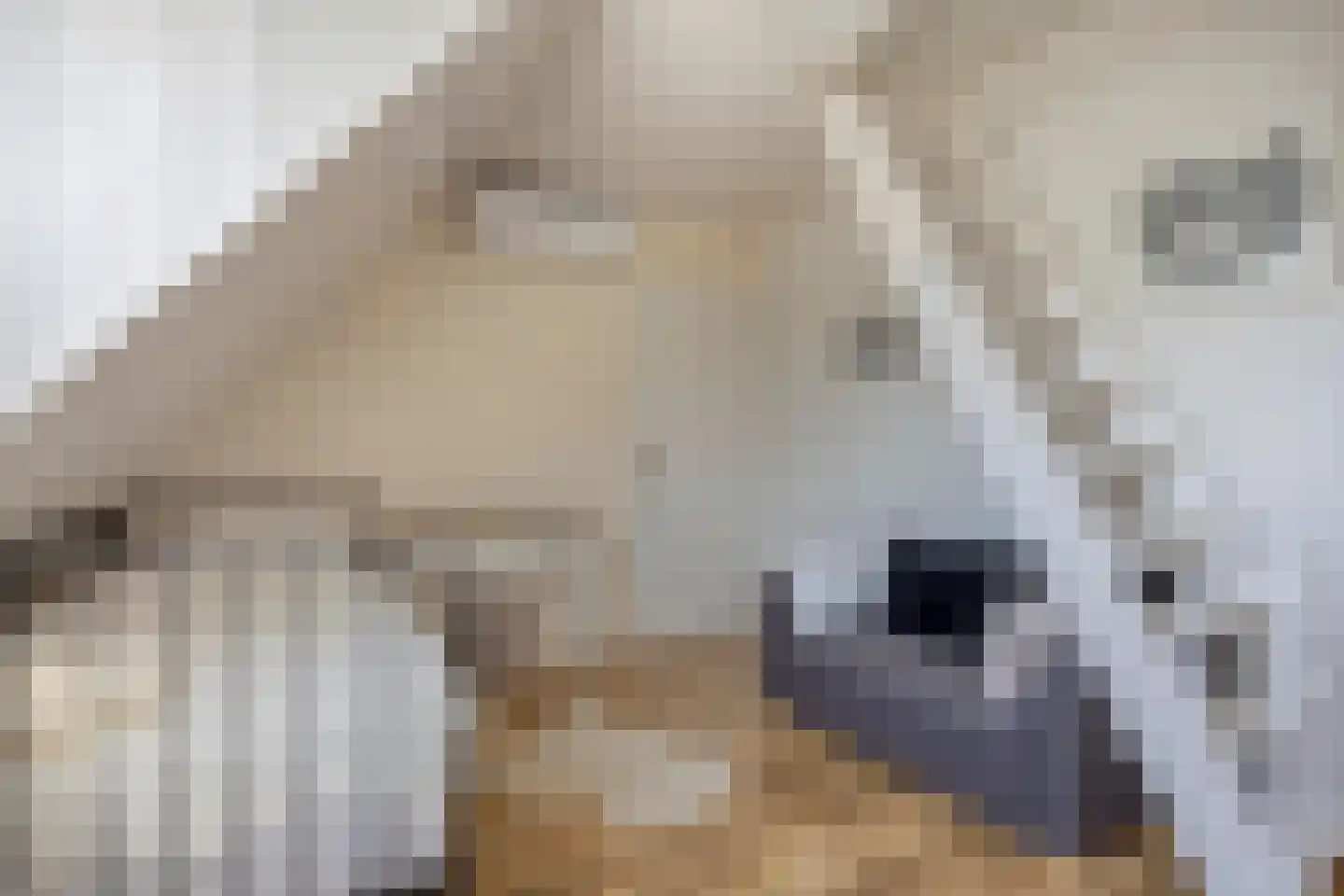 Marsweg 19 Oss thumbnail 30