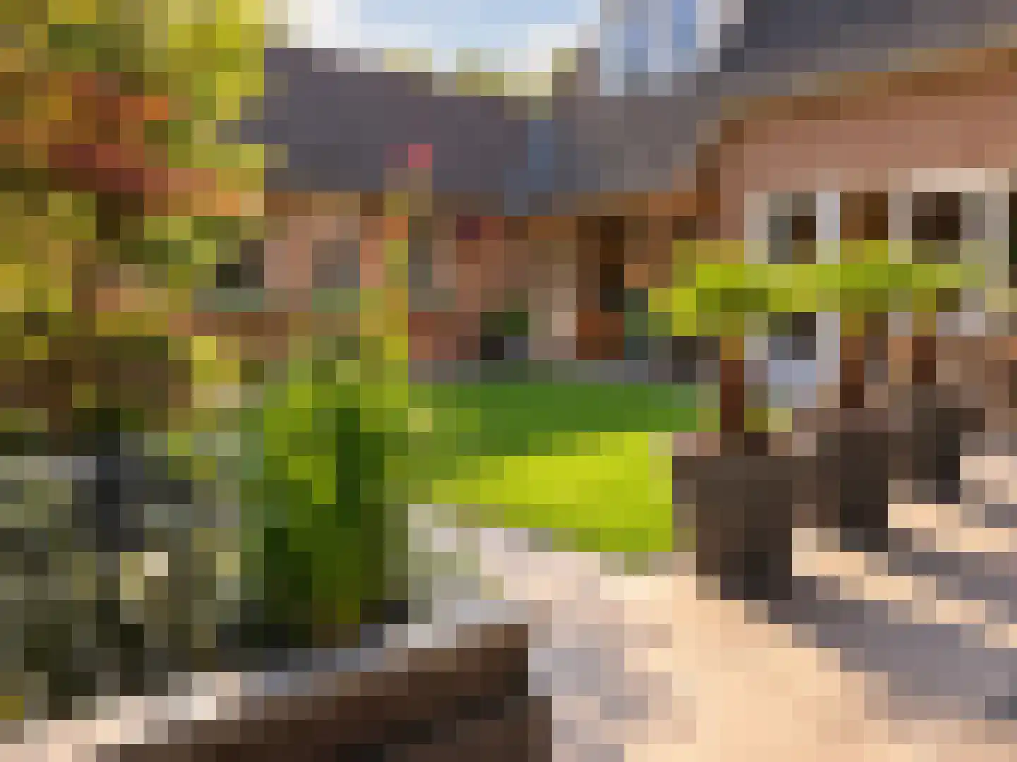 Marsweg 19 Oss thumbnail 34