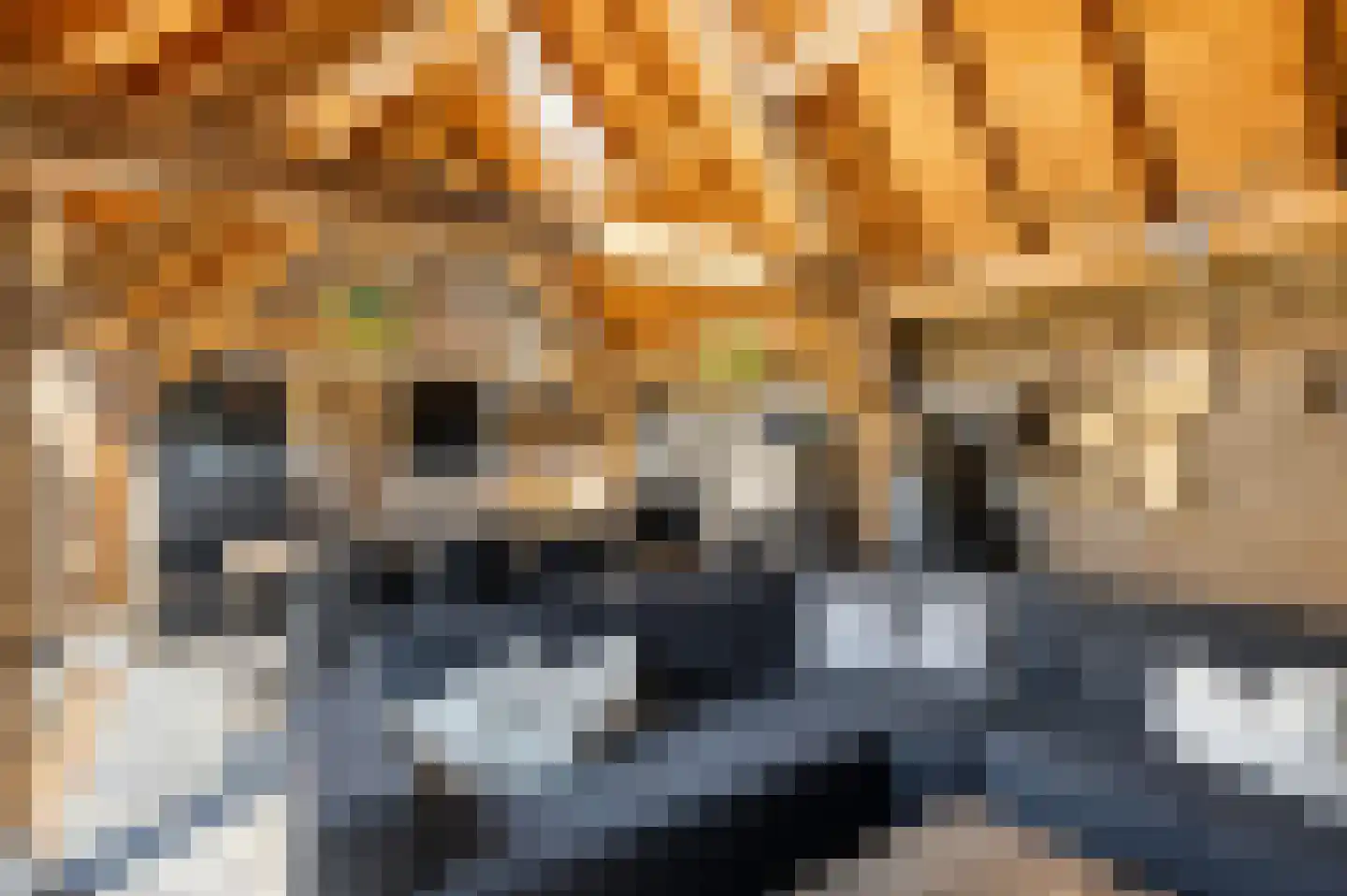Marsweg 19 Oss thumbnail 36