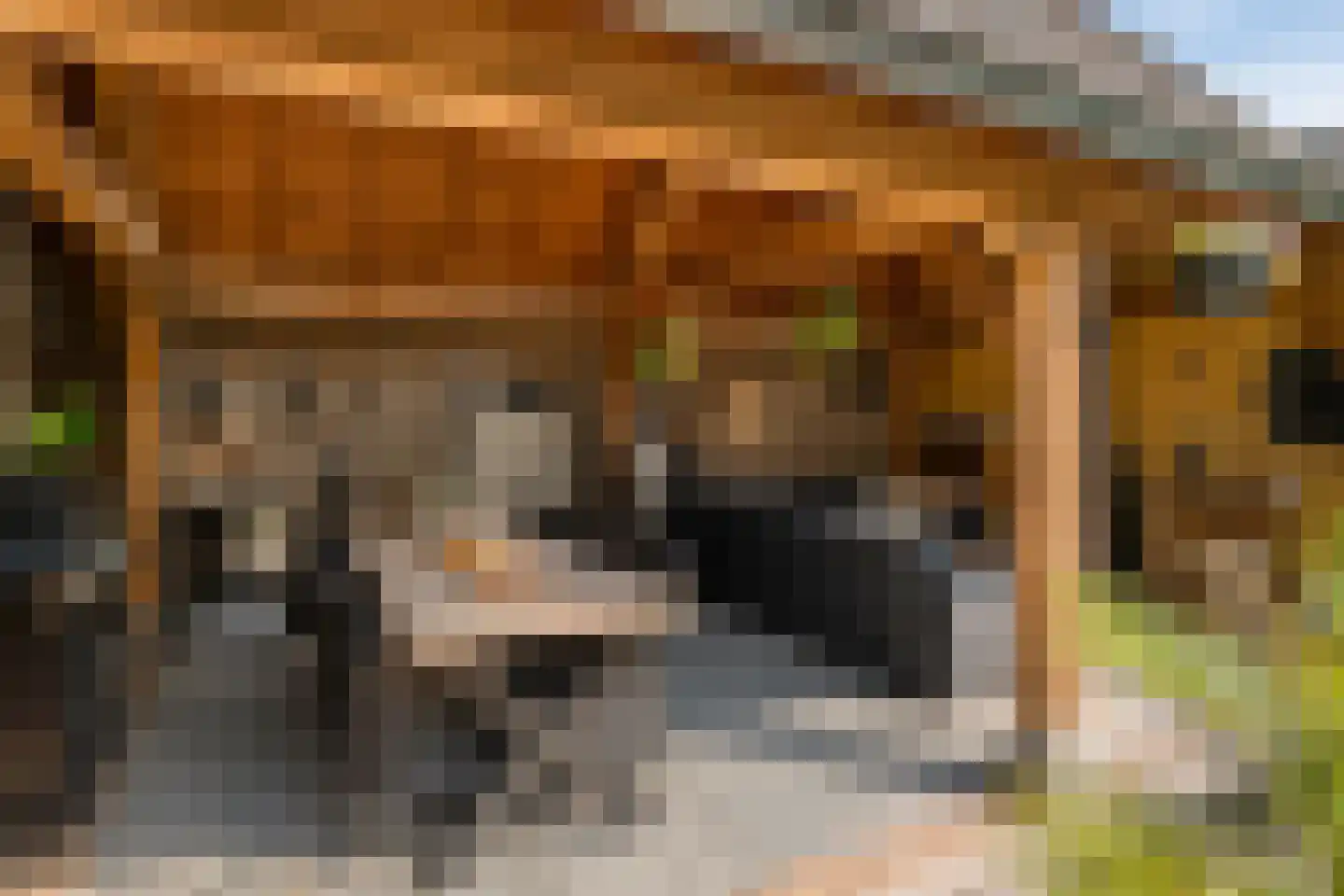 Marsweg 19 Oss thumbnail 37