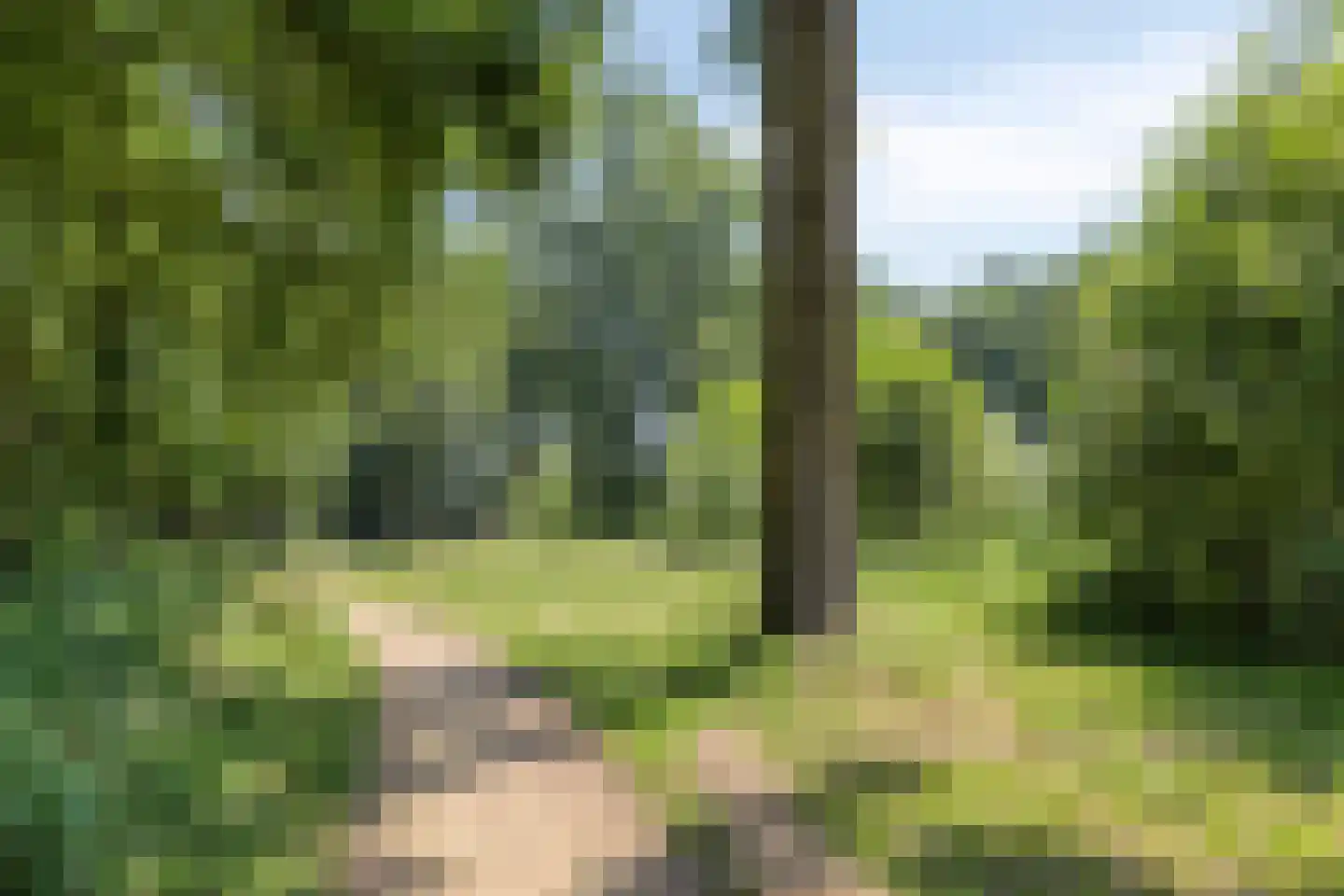 Marsweg 19 Oss thumbnail 41