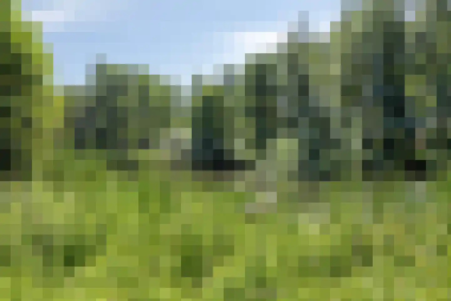 Marsweg 19 Oss thumbnail 42