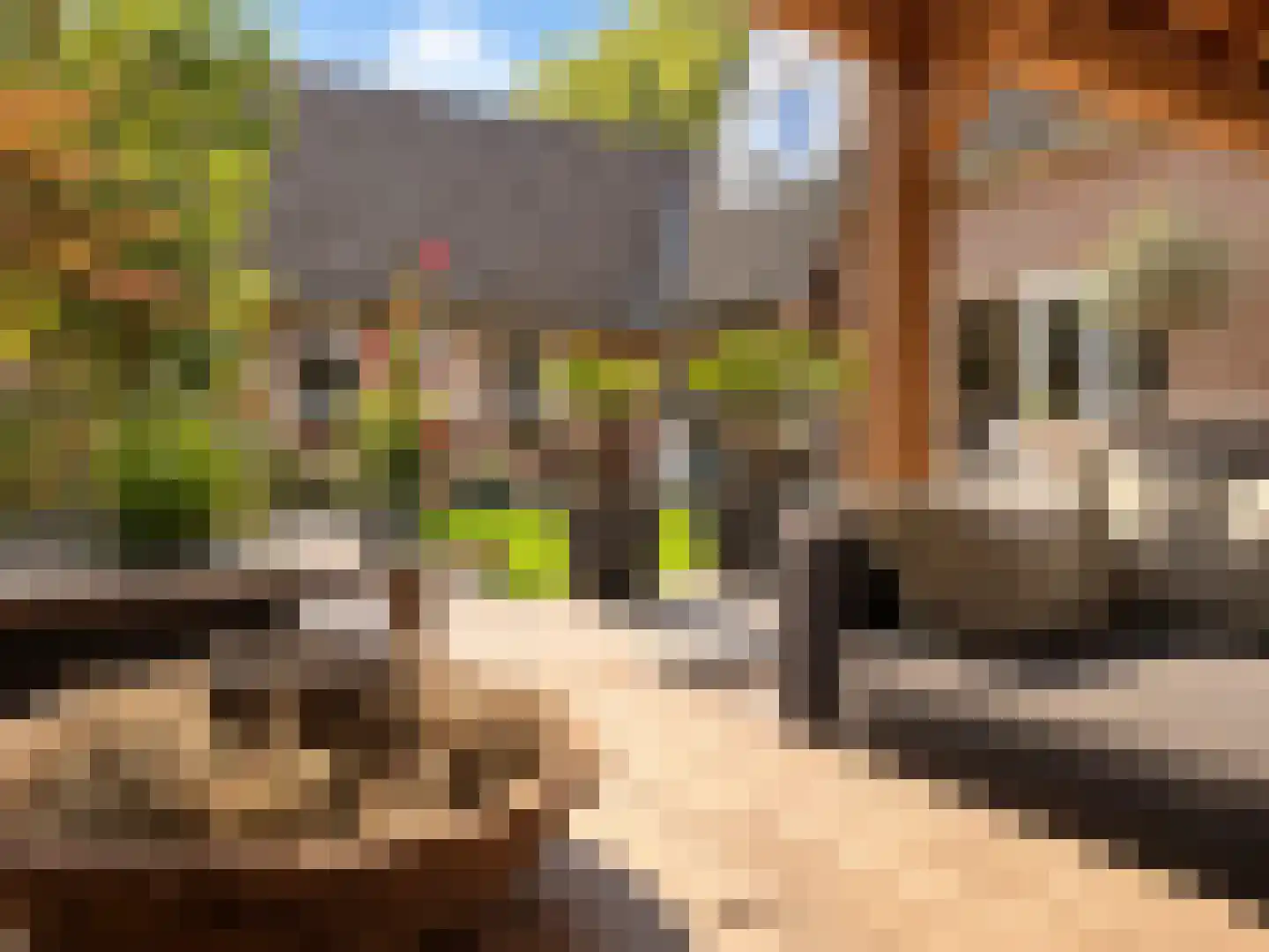 Marsweg 19 Oss thumbnail 44