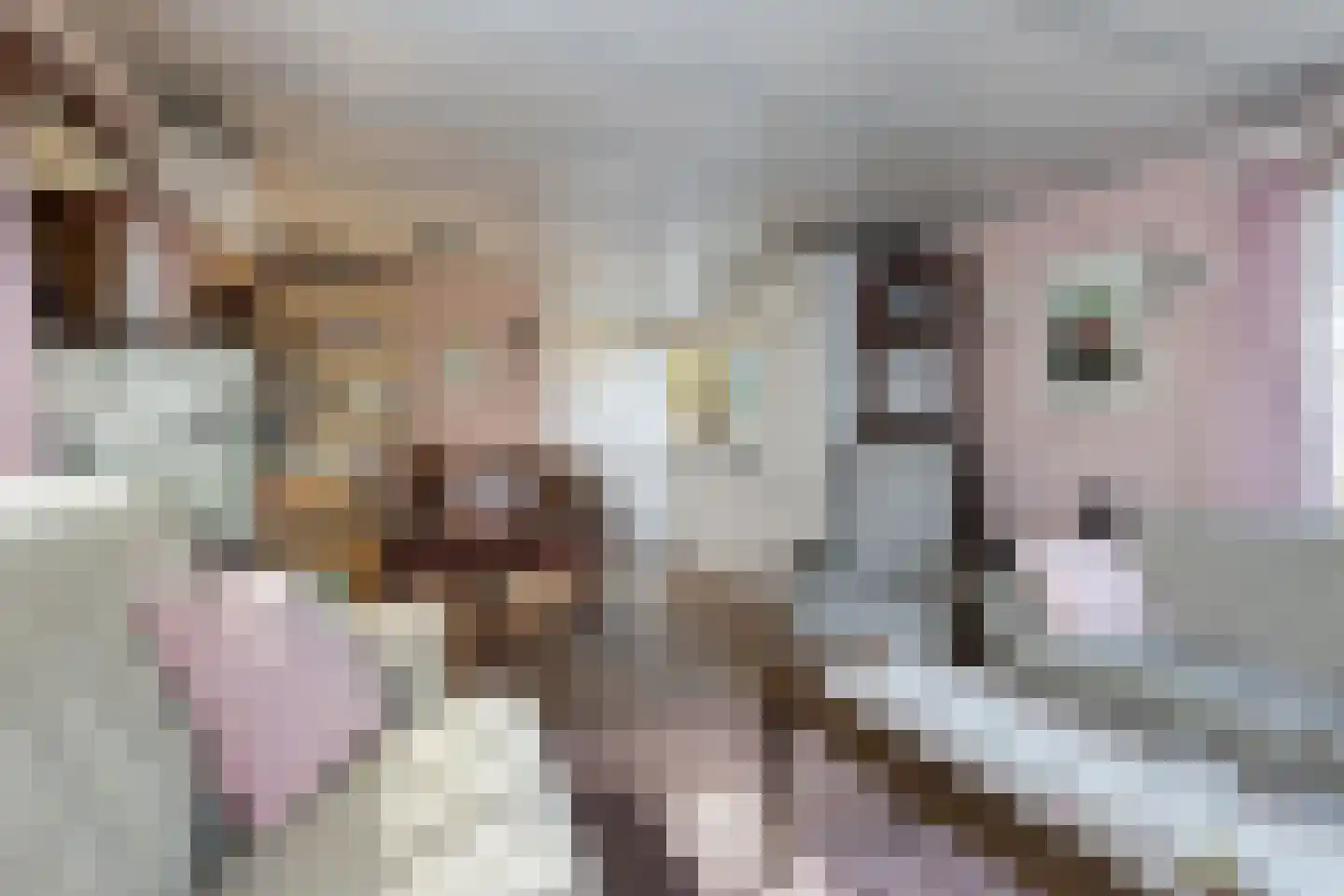 Marsweg 2 H 337B Lathum thumbnail 10