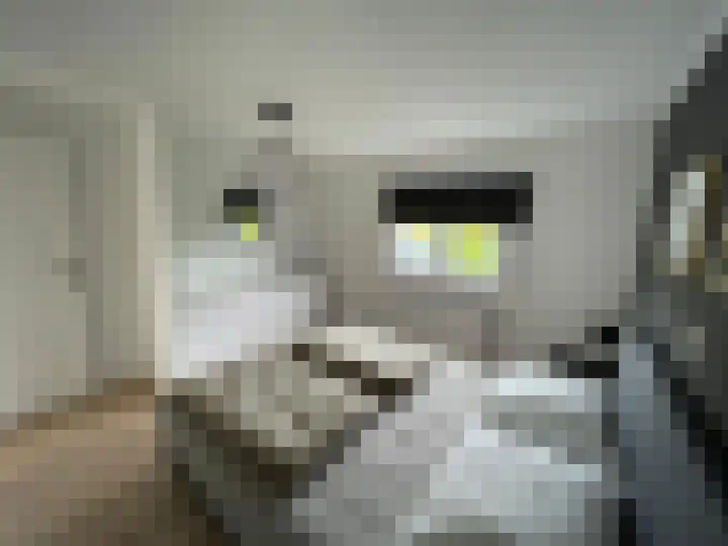 Marsweg 2 Lathum thumbnail 5