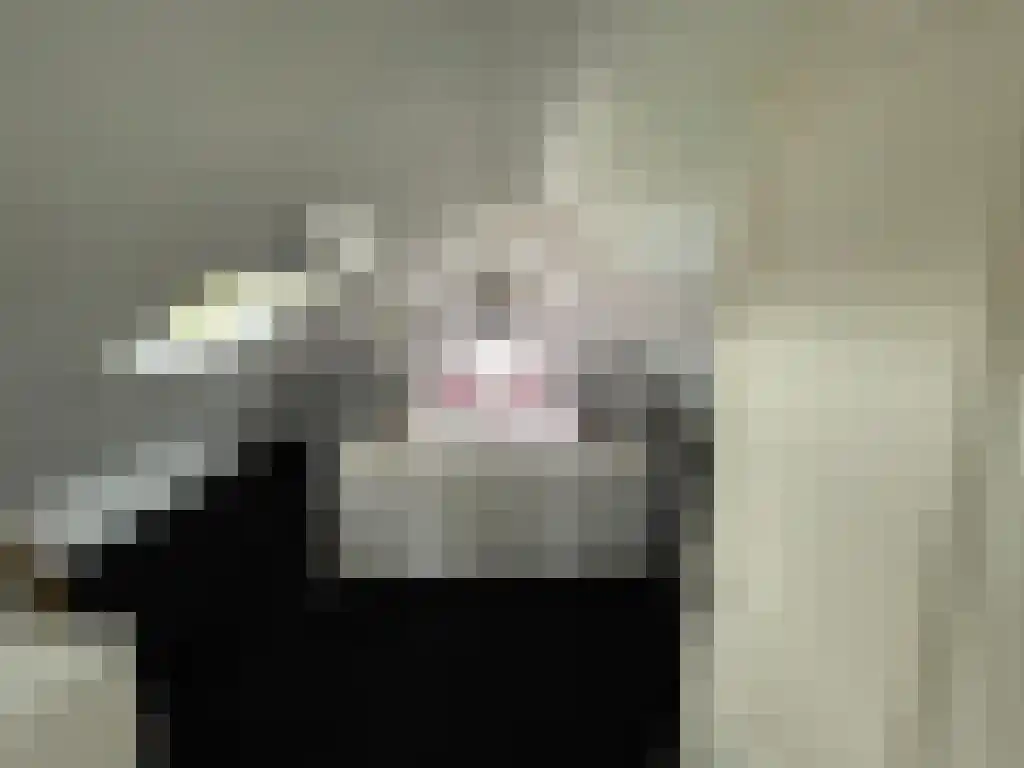 Marsweg 2 Lathum thumbnail 6