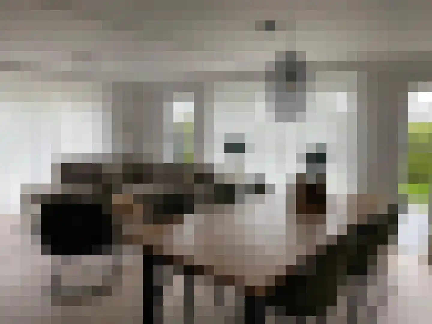 Marsweg 2 Lathum thumbnail 8