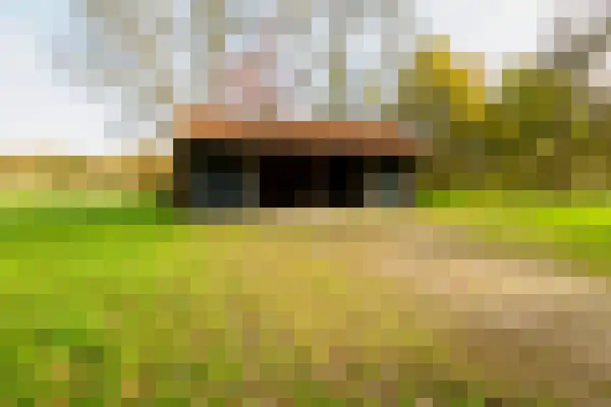 Marsweg 2 Lemele thumbnail 18