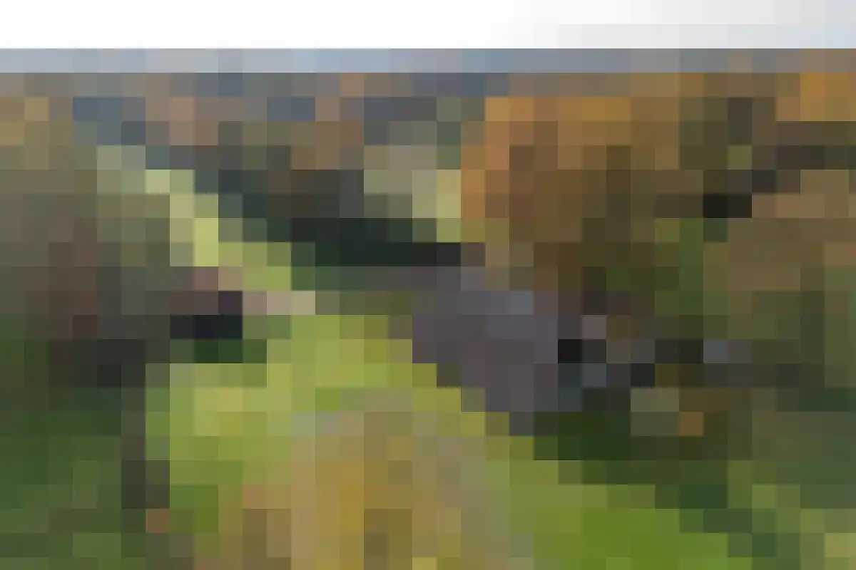 Marsweg 2 Lemele thumbnail 4