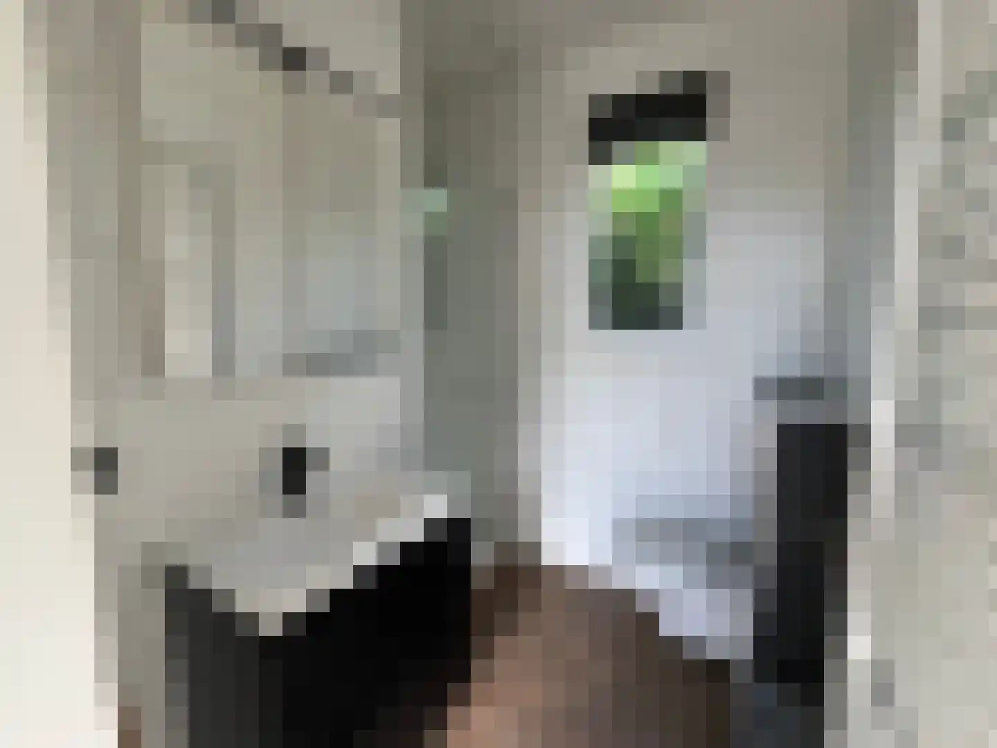 Marsweg 2 R 129 Lathum thumbnail 10