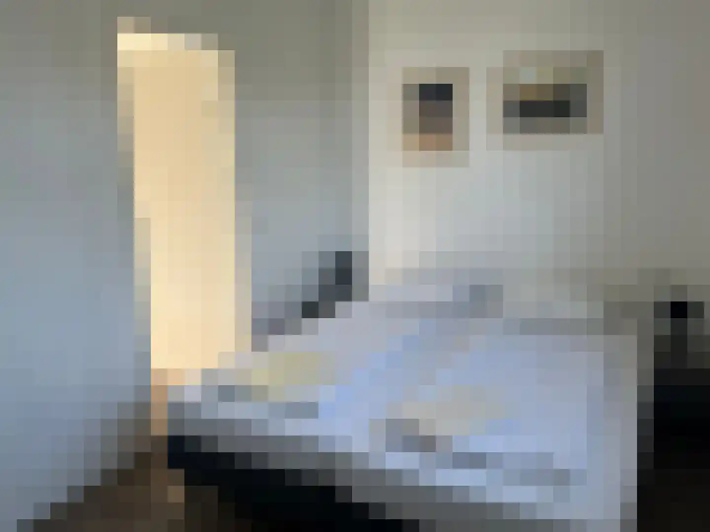 Marsweg 2 R 129 Lathum thumbnail 12