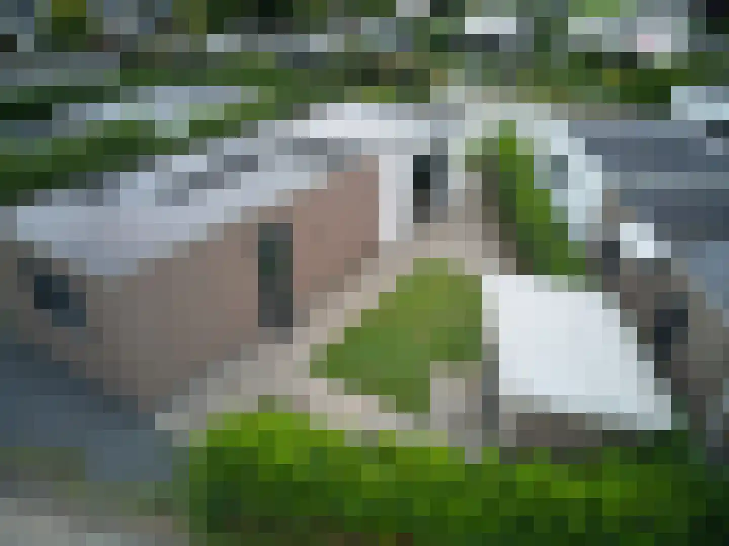 Marsweg 2 R 129 Lathum thumbnail 16