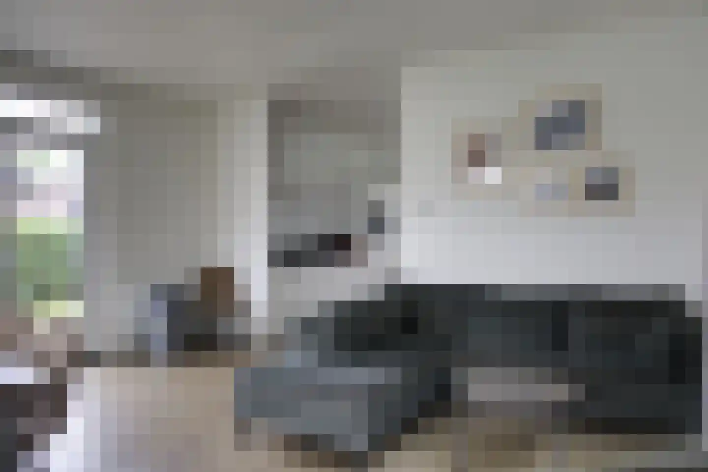 Marsweg 2 R 129 Lathum thumbnail 4