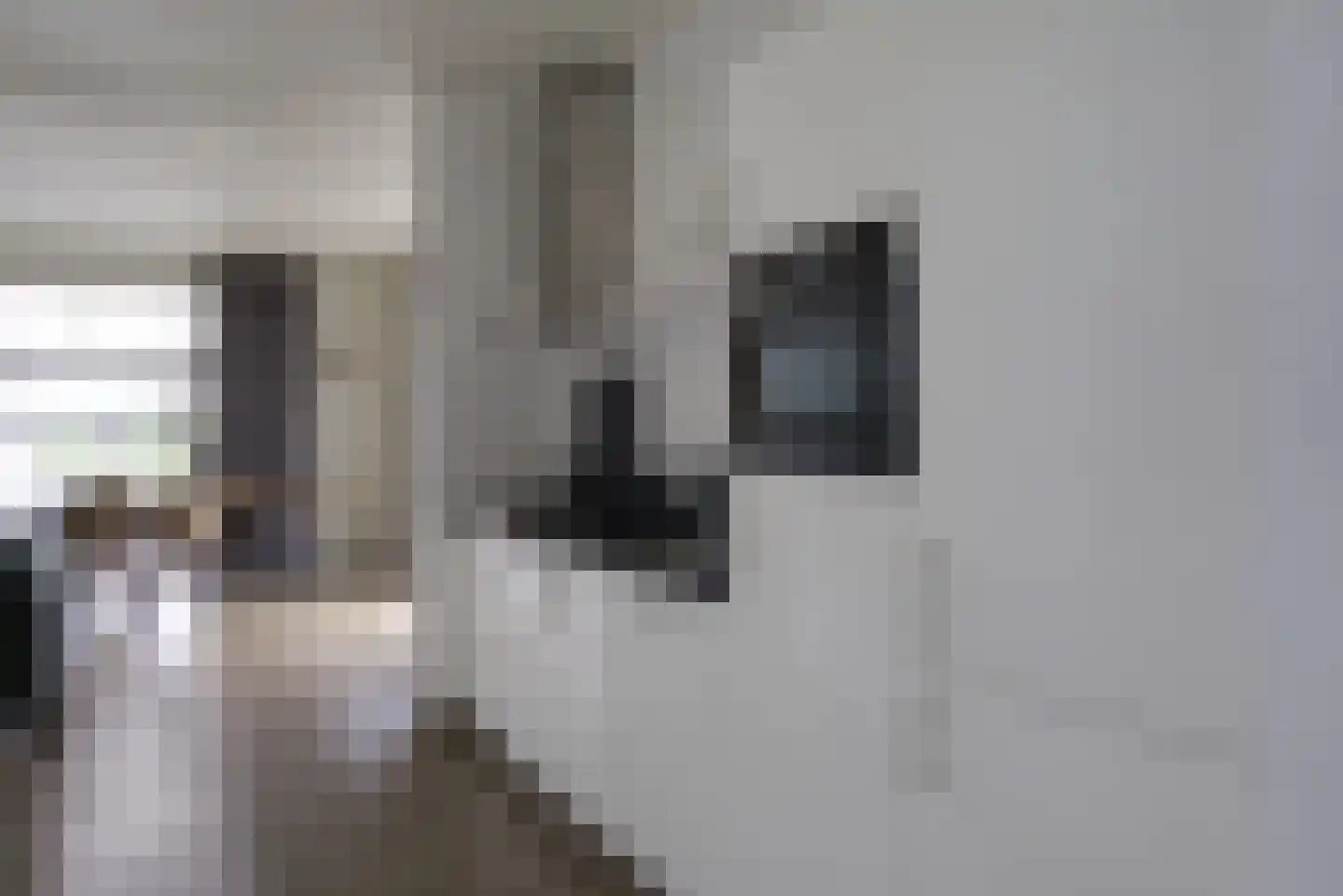 Marsweg 2 R 129 Lathum thumbnail 8