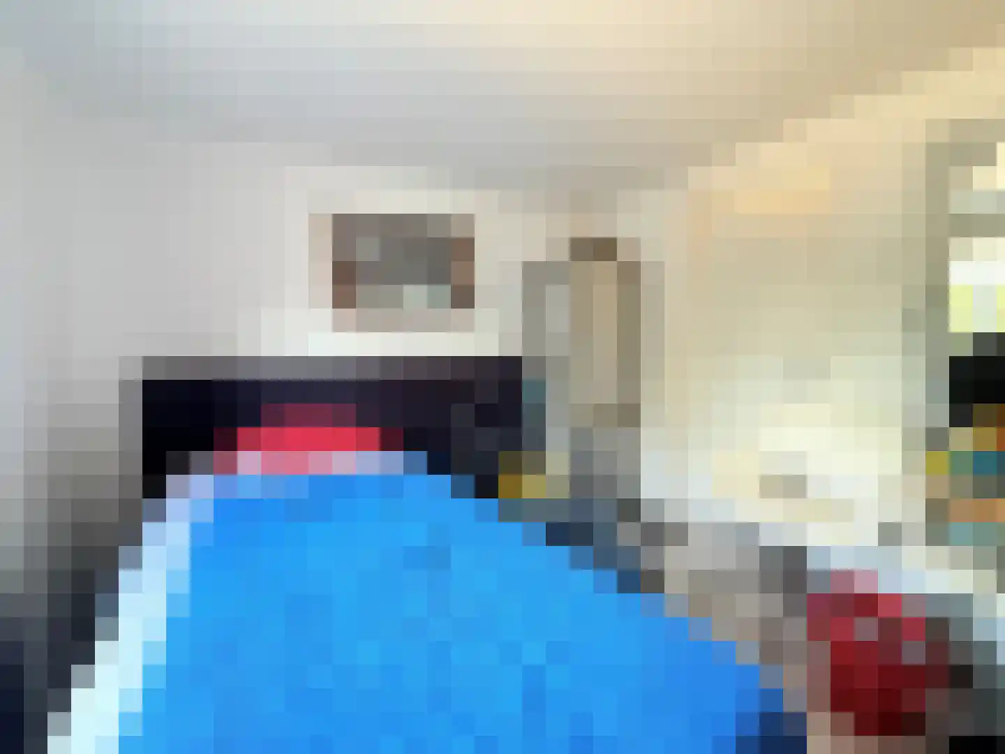 Marsweg 2 R 2279 Lathum thumbnail 11