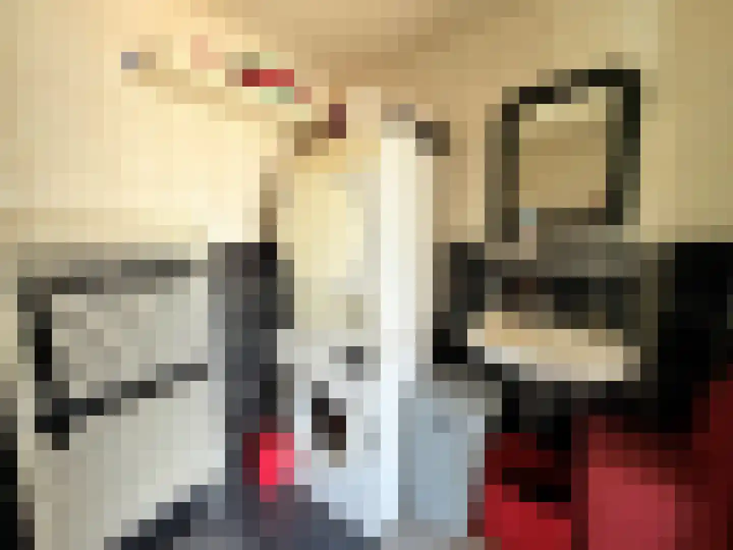Marsweg 2 R 2279 Lathum thumbnail 13