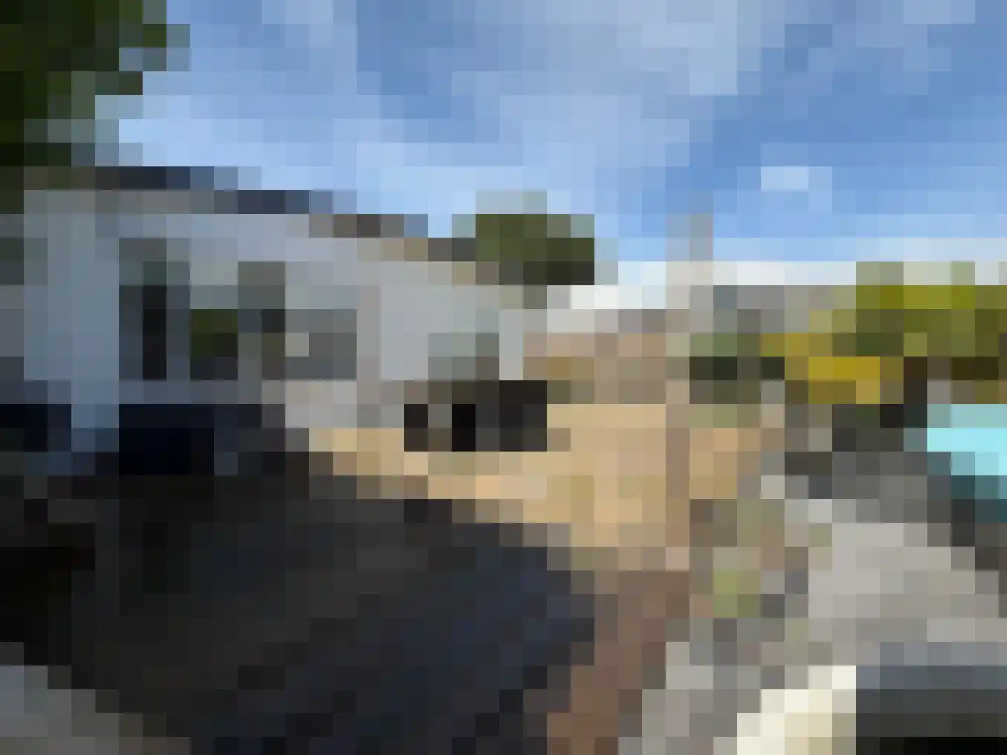 Marsweg 2 R 2279 Lathum foto 2