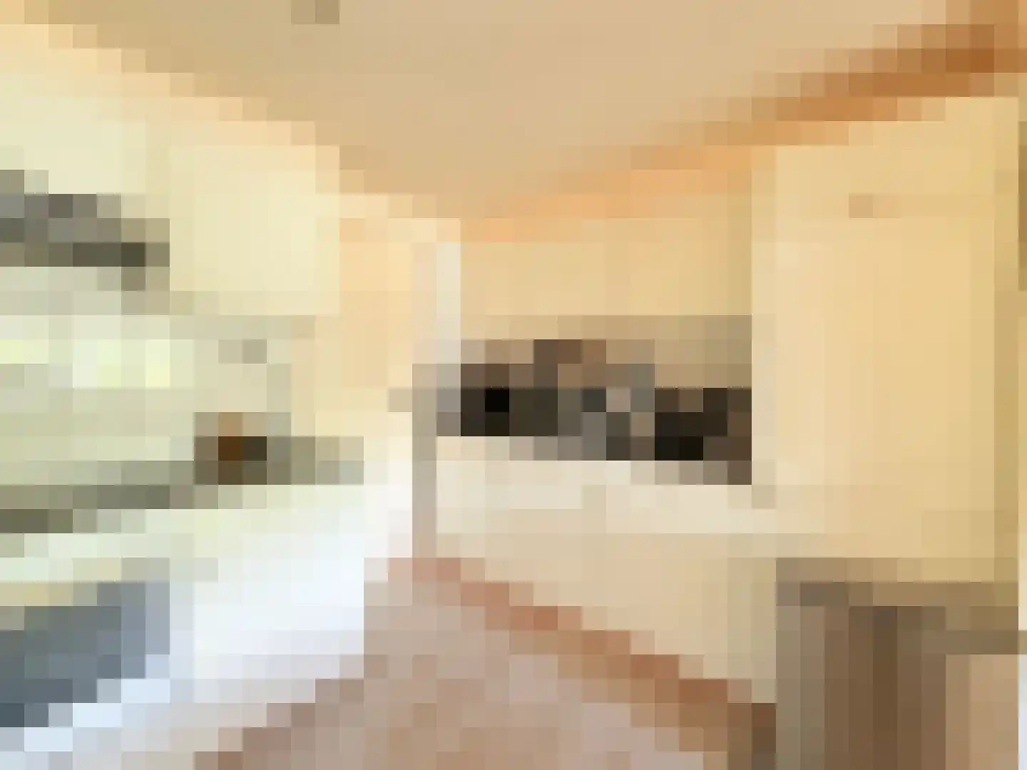 Marsweg 2 R 2279 Lathum thumbnail 7