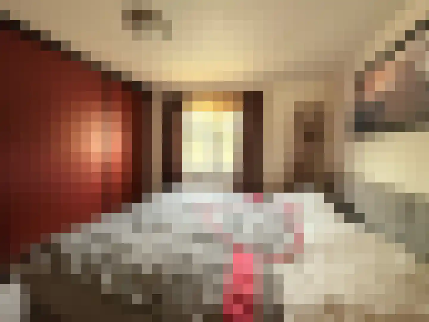 Marsweg 2 R 2279 Lathum thumbnail 8
