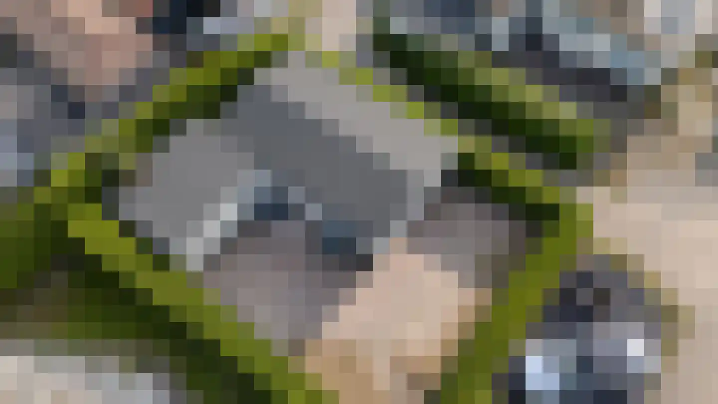 Marsweg 2 R 27 Lathum foto 3