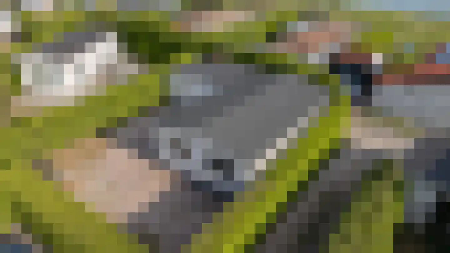 Marsweg 2 R 27 Lathum thumbnail 48
