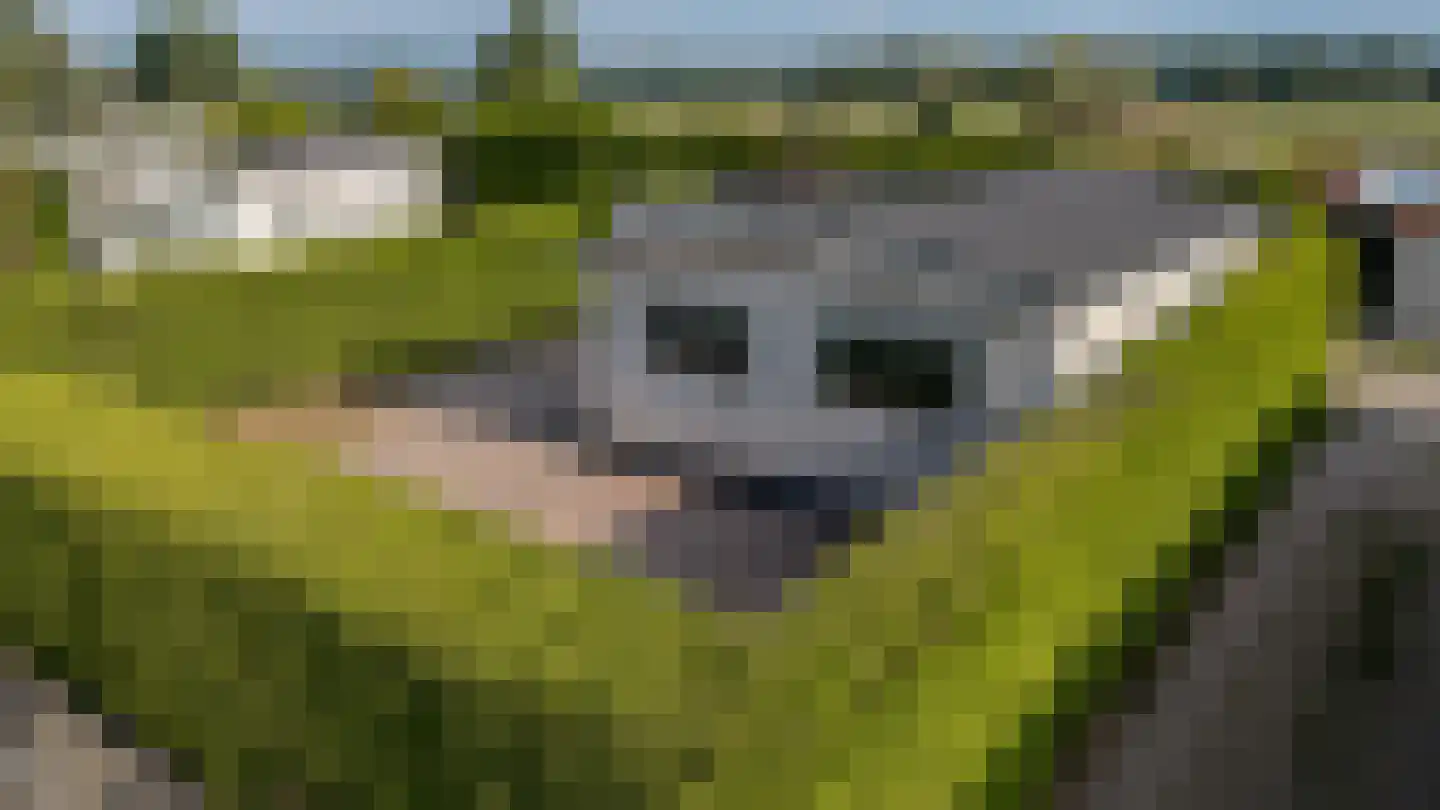 Marsweg 2 R 27 Lathum thumbnail 9