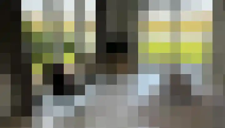 Marsweg 2 R 674 Lathum thumbnail 4