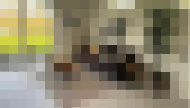 Marsweg 2 R 674 Lathum thumbnail 5