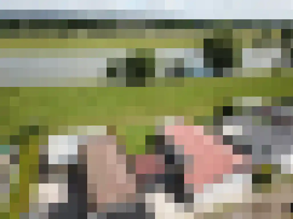 Marsweg 2 R 680 Lathum thumbnail 35