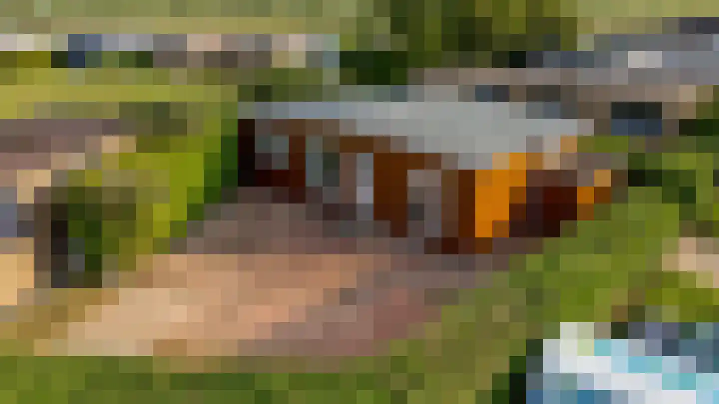Marsweg 2 R 680 Lathum thumbnail 43