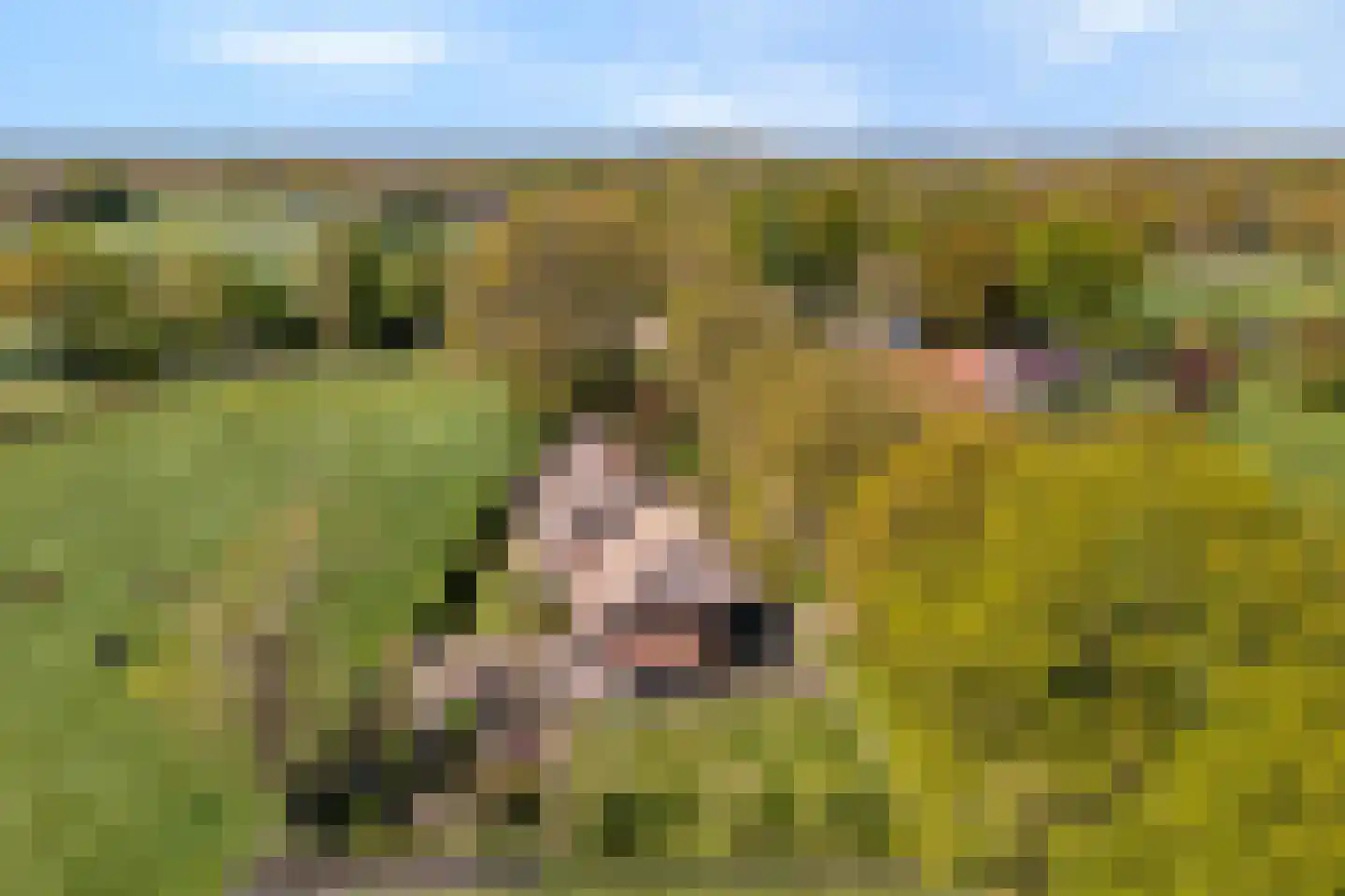 Marsweg 2 Wijster foto 2