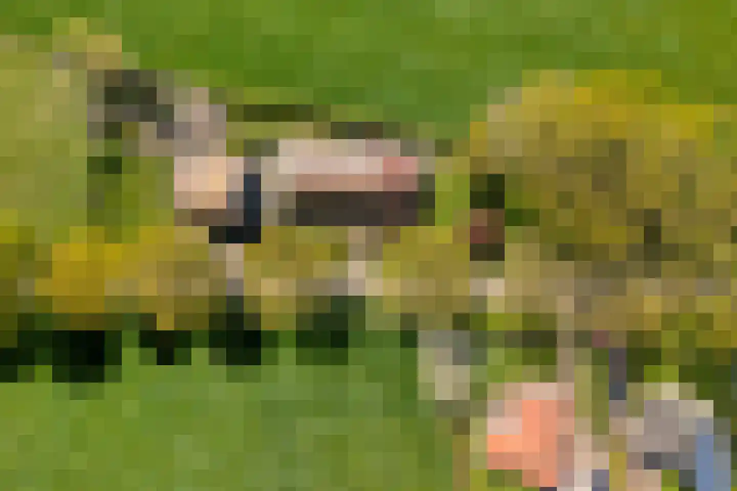 Marsweg 2 Wijster foto 3