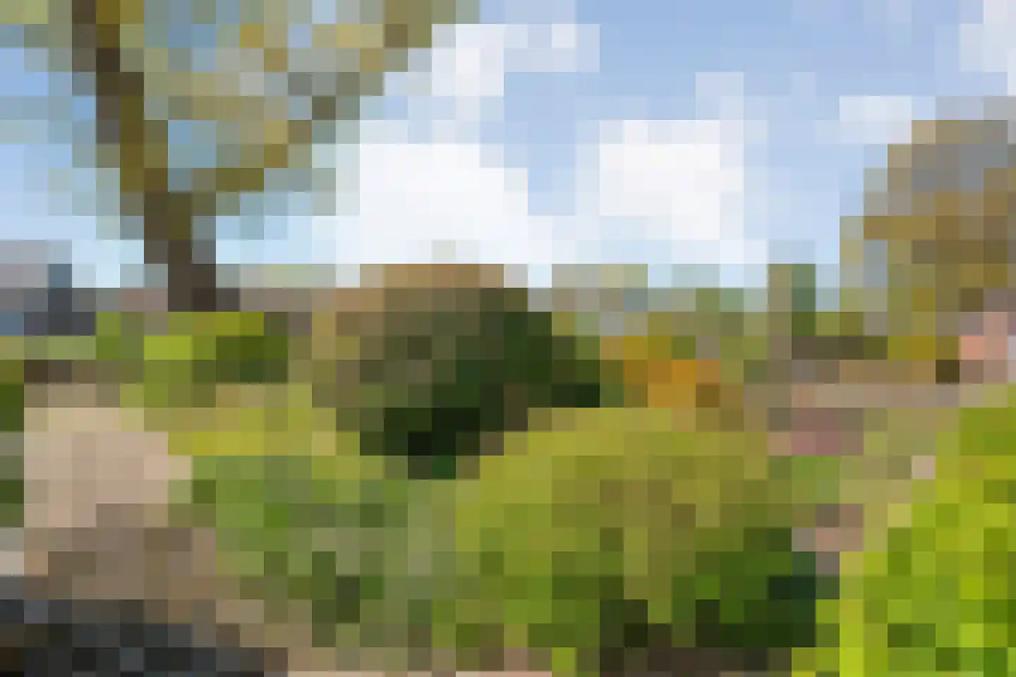 Marsweg 2 Wijster thumbnail 49