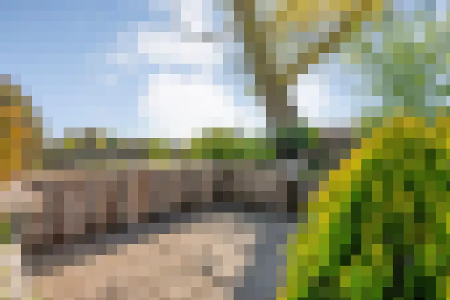 Marsweg 2 Wijster thumbnail 53