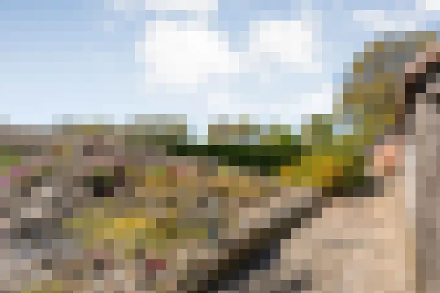 Marsweg 2 Wijster thumbnail 54