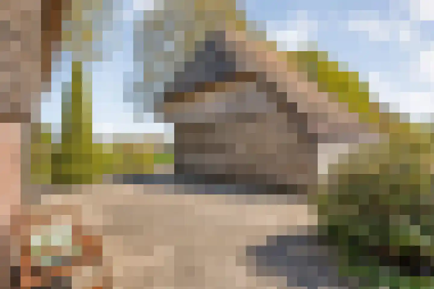 Marsweg 2 Wijster thumbnail 56