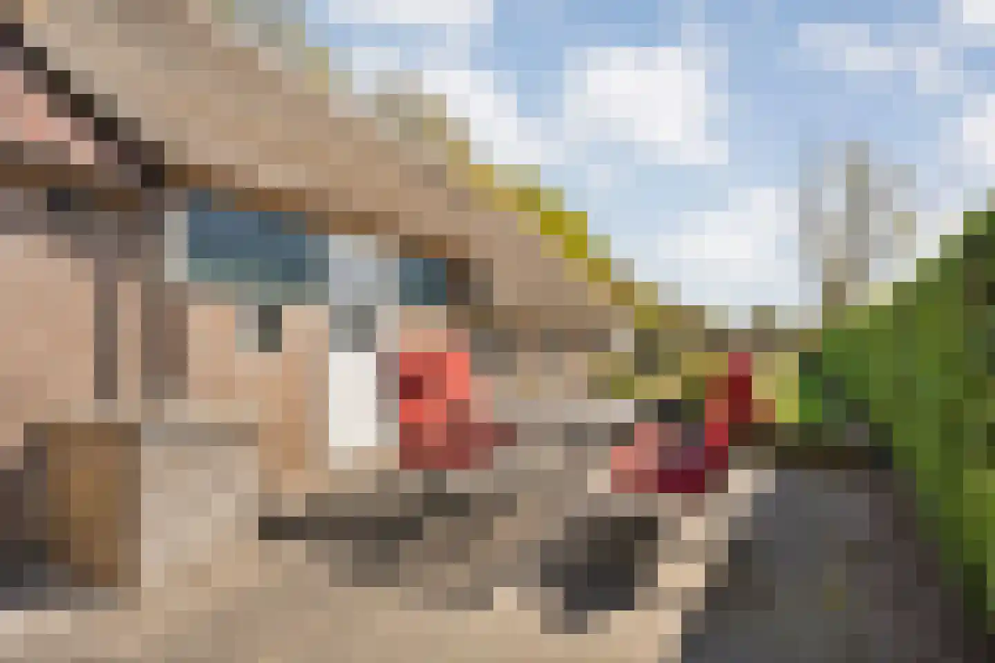 Marsweg 2 Wijster thumbnail 60