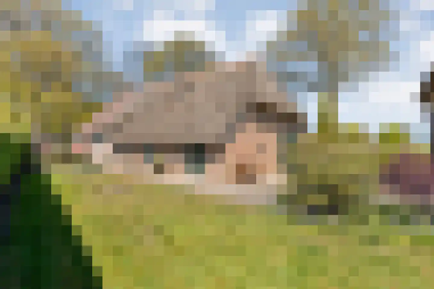 Marsweg 2 Wijster thumbnail 62