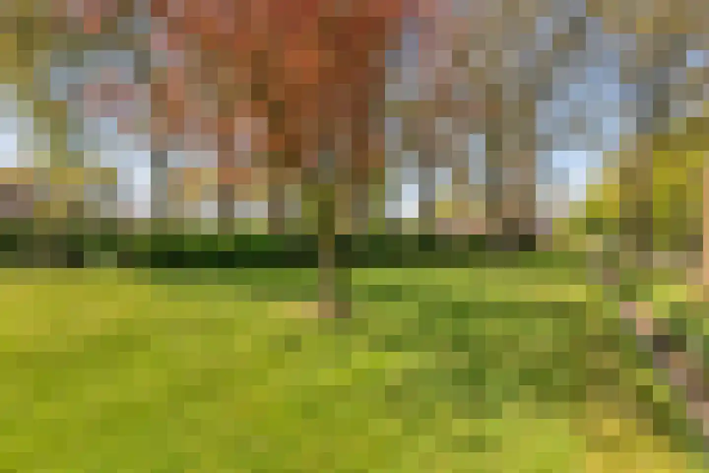 Marsweg 2 Wijster thumbnail 63